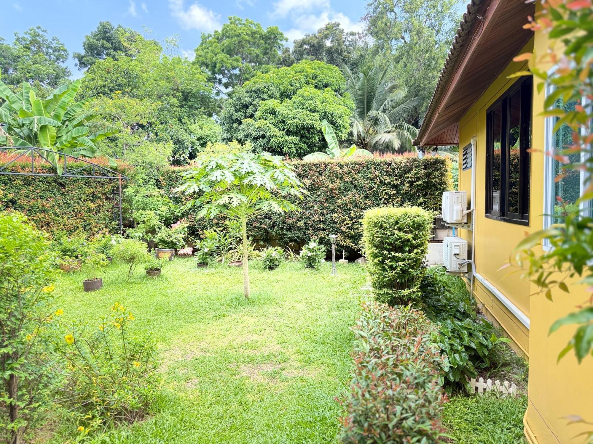 Family Bungalow Kamala Ngoại thất bức ảnh