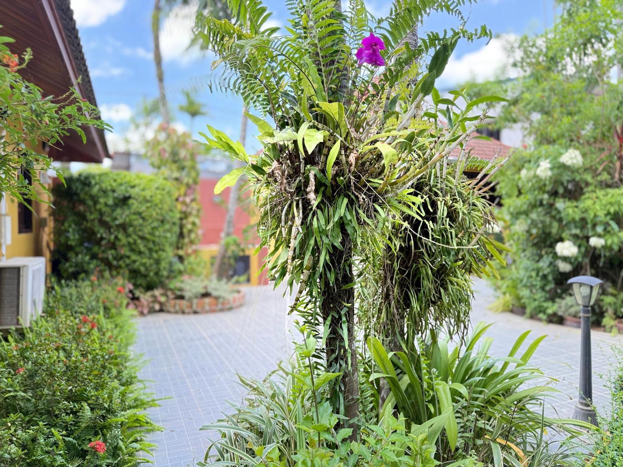 Family Bungalow Kamala Ngoại thất bức ảnh