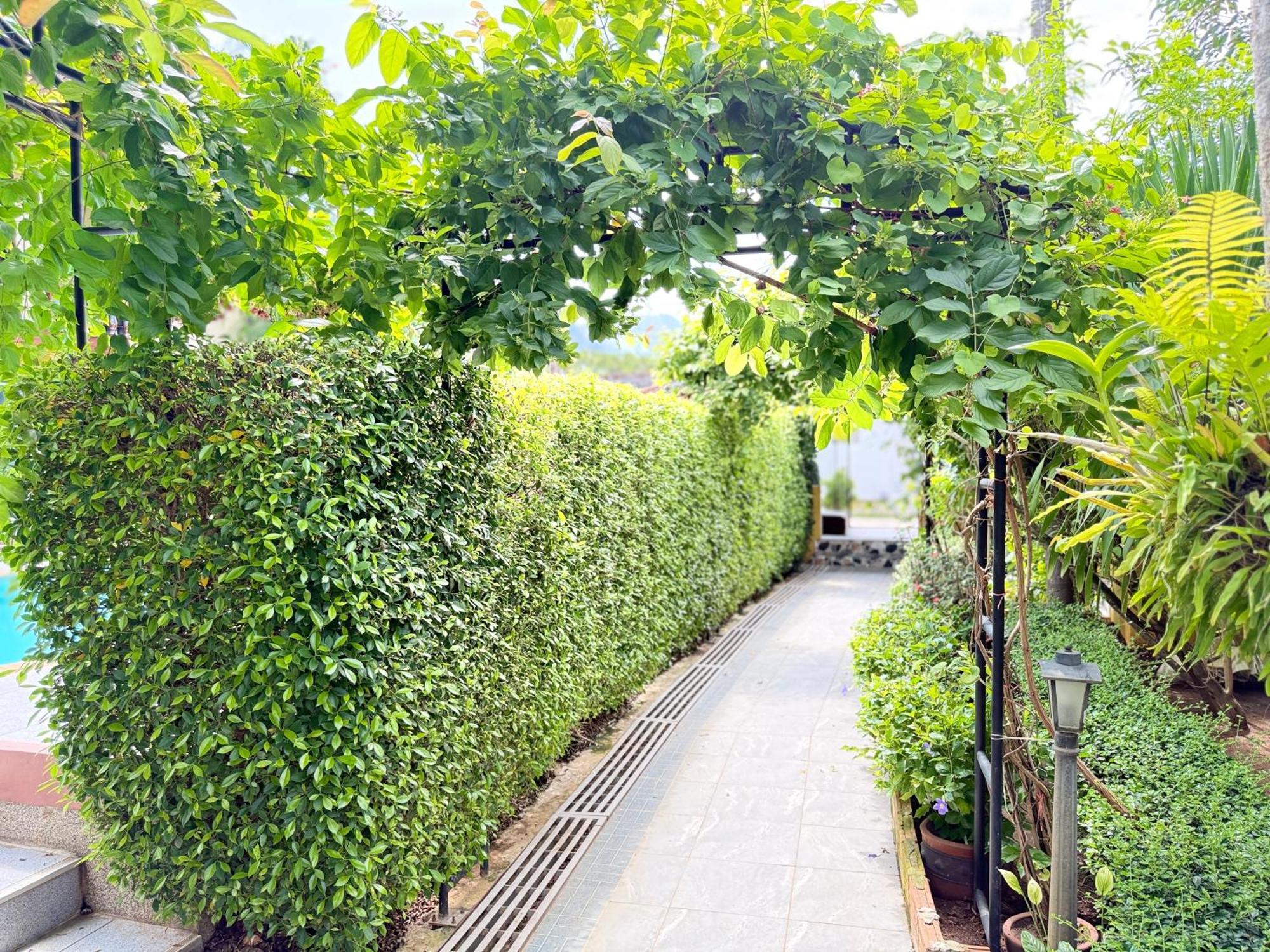 Family Bungalow Kamala Ngoại thất bức ảnh