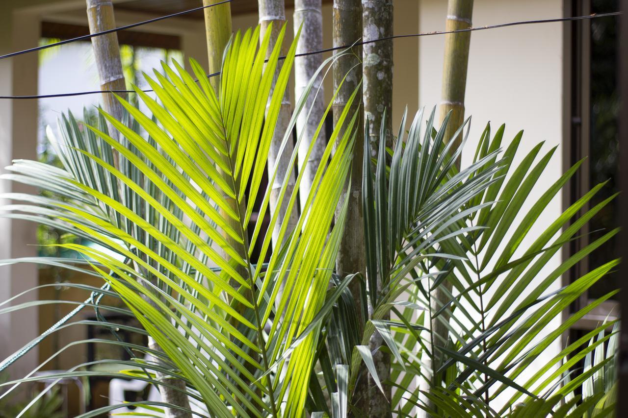 Family Bungalow Kamala Ngoại thất bức ảnh